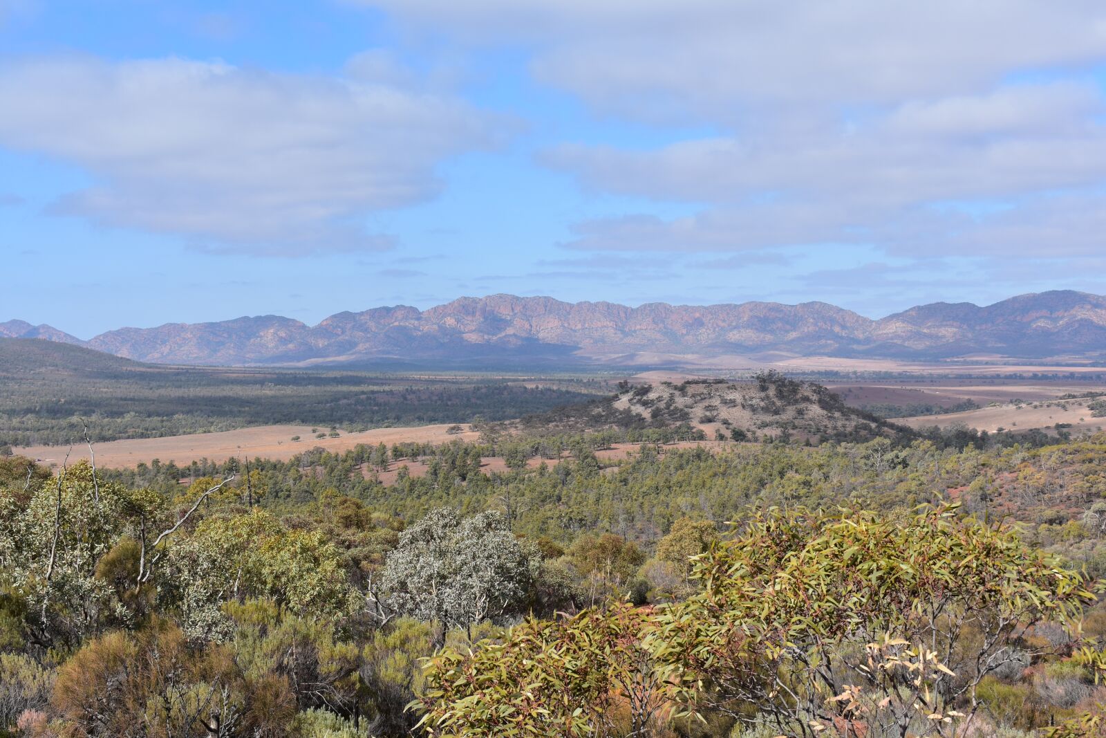 Nikon D3400 sample photo. View, mountains, forest photography