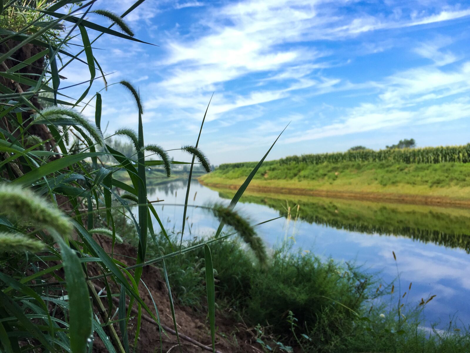 Apple iPhone 6 sample photo. Xingtai, river, blue sky photography