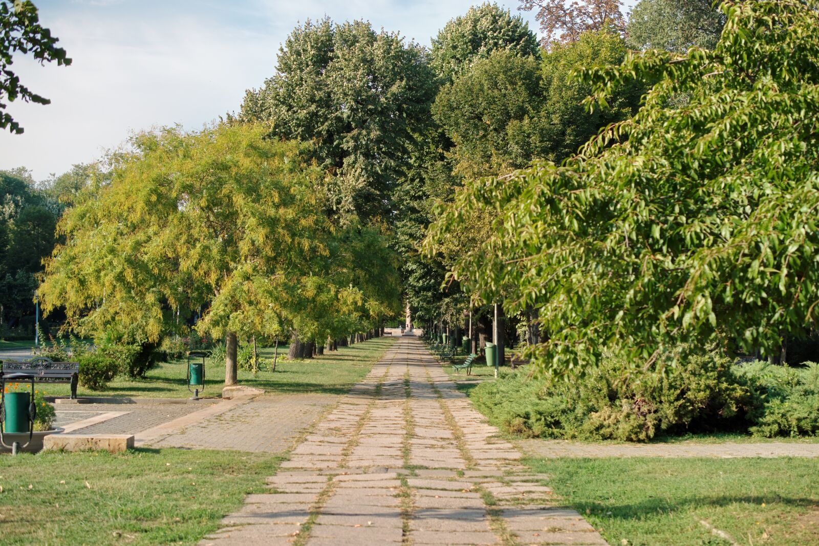 Nikon D5300 sample photo. Landscape, alley, park photography