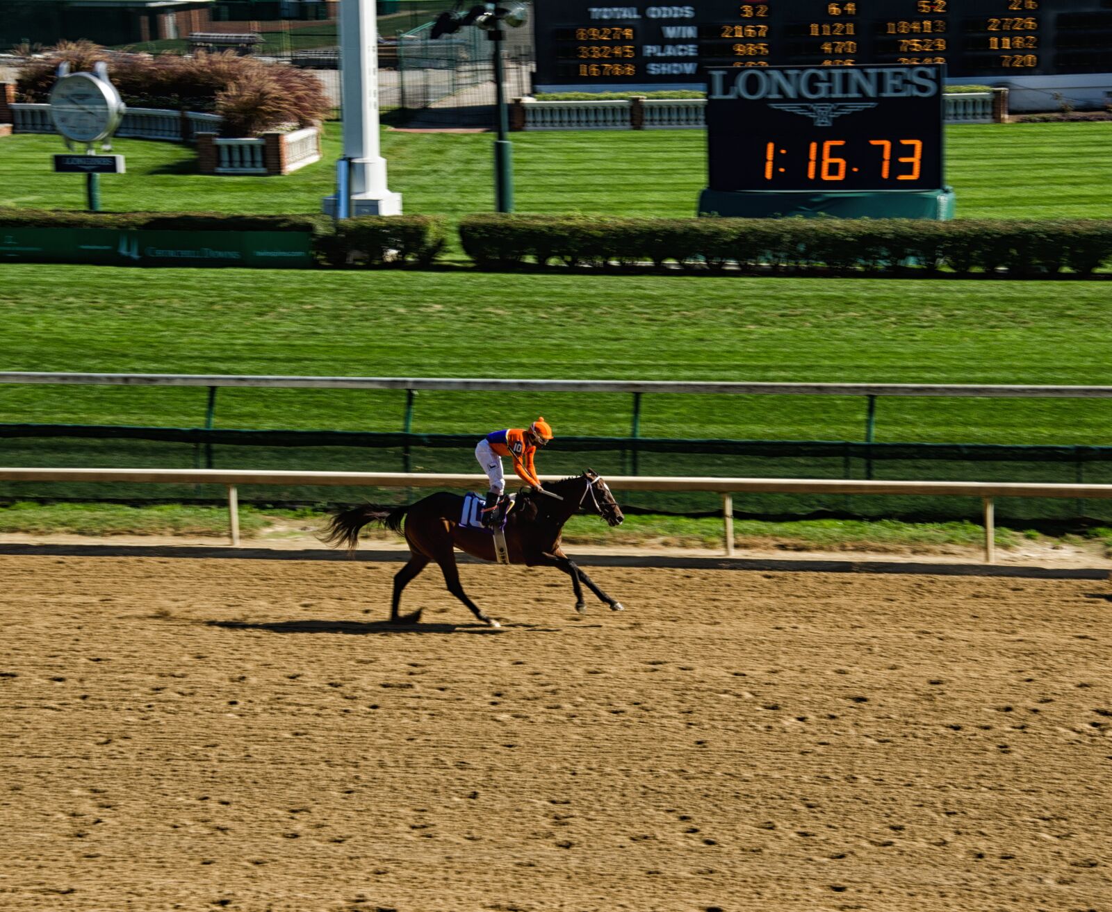 Nikon D5100 sample photo. Kentucky, louisville, horse racing photography
