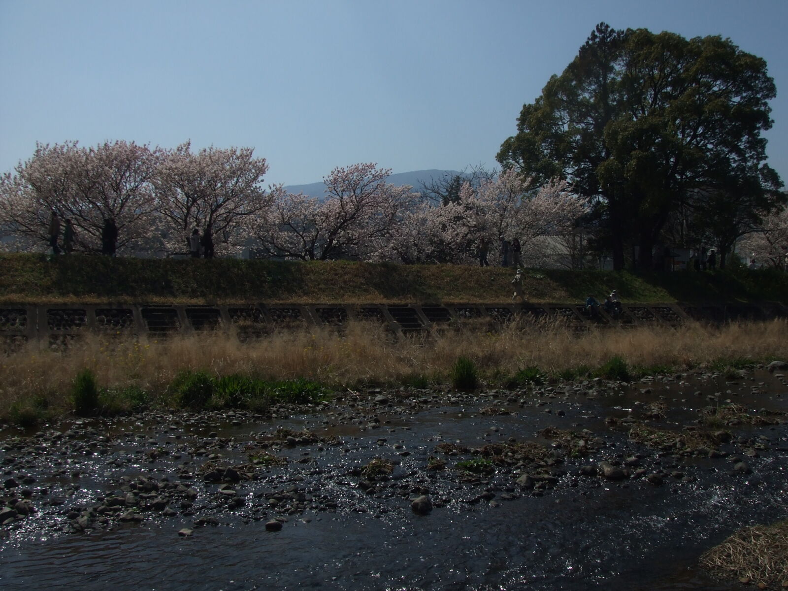Fujifilm FinePix Z5fd sample photo
