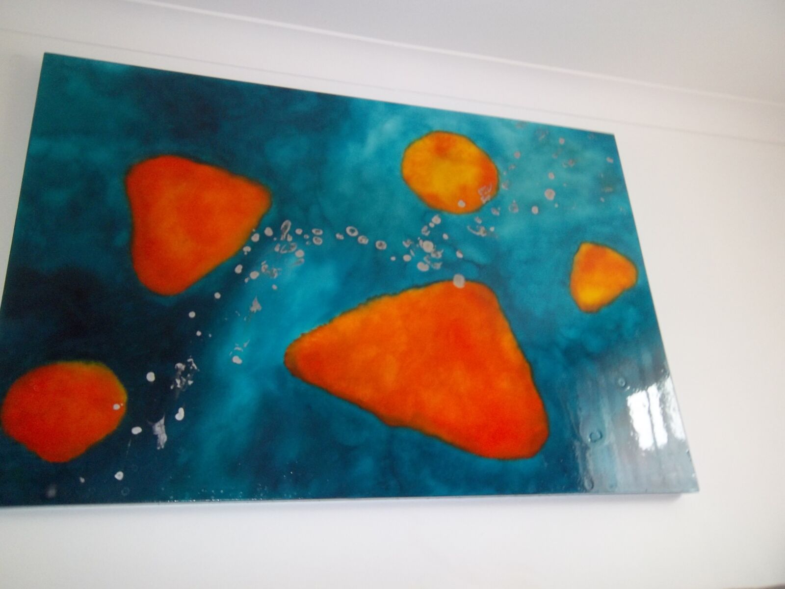 Kodak EASYSHARE M575 DIGITAL CAMERA sample photo. Goldfish, cat paw, sea photography