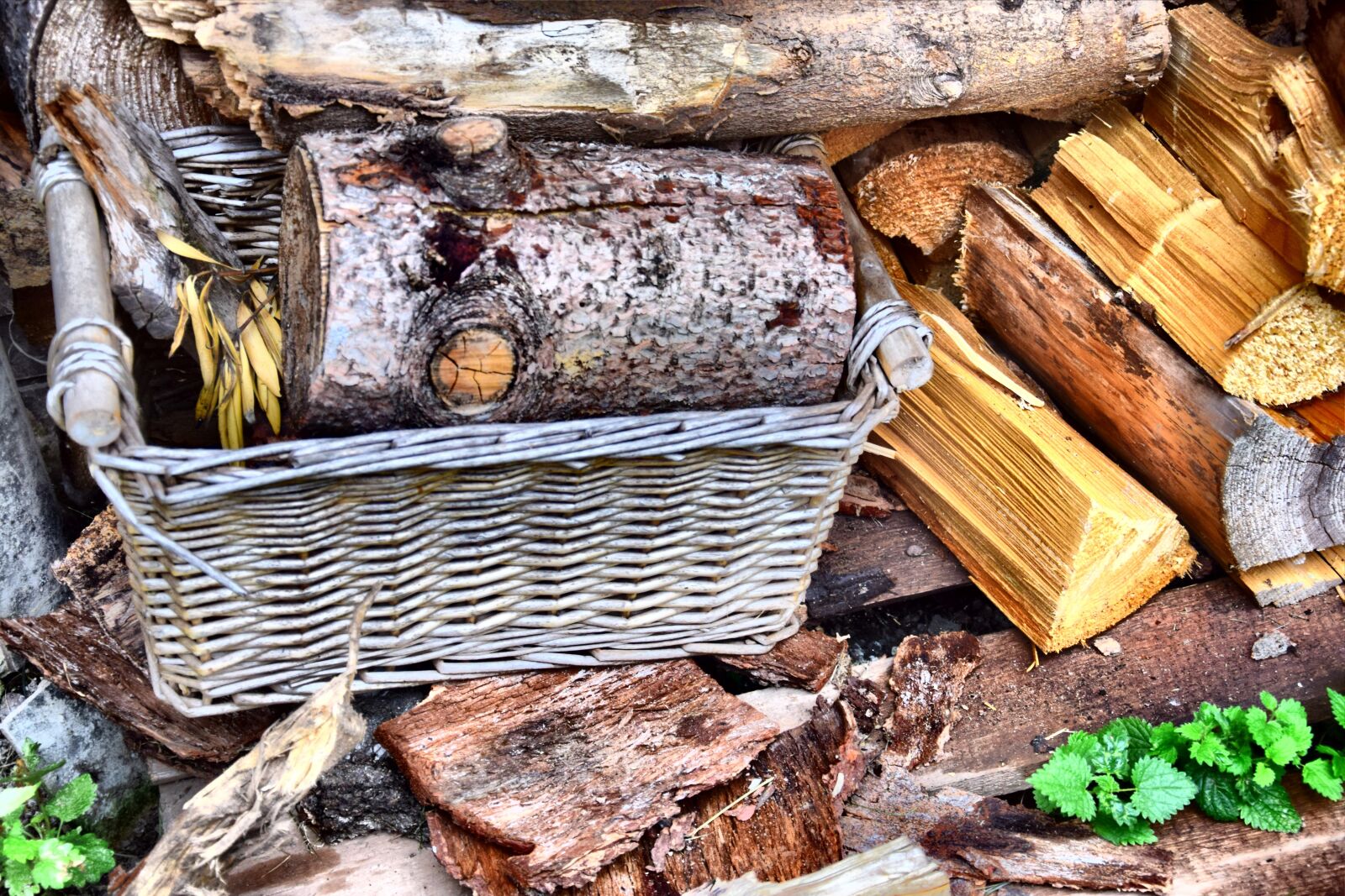 Nikon D3300 sample photo. Wood, still life, decoration photography