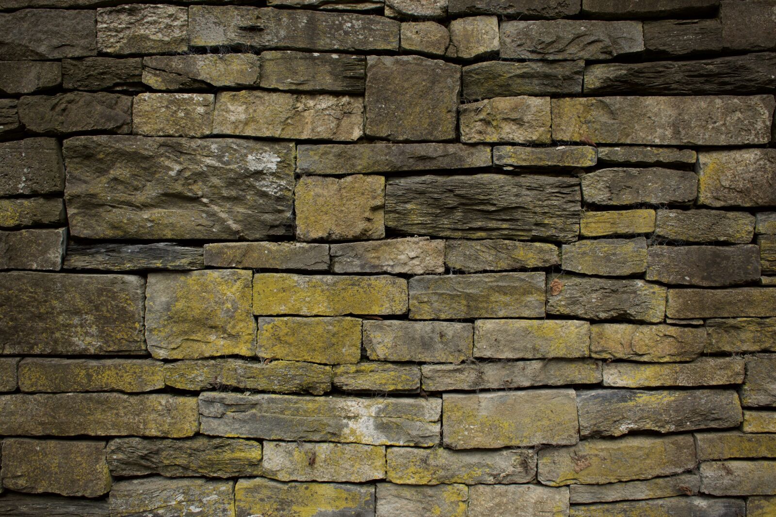 Nikon D5300 sample photo. Wall, stones, brick photography