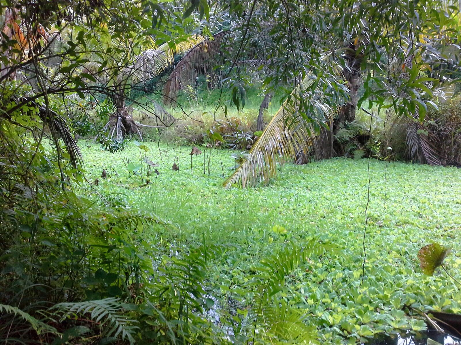 Samsung Galaxy Note 10.1 sample photo