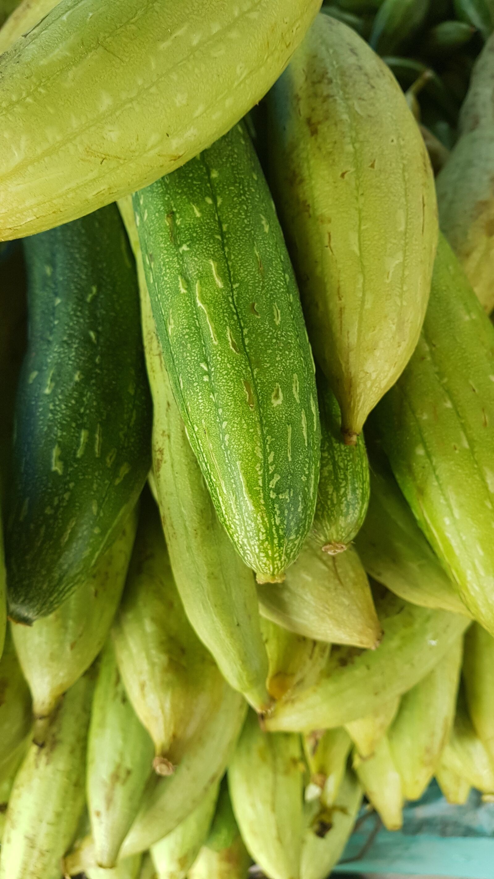 Samsung Galaxy S8+ sample photo. Vegetables, indian market, gourd photography
