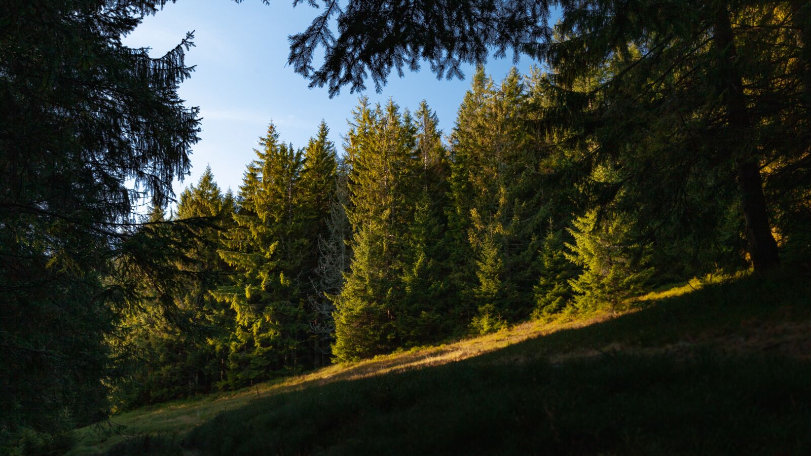 Canon EOS 5D Mark II sample photo. Pilsko, beskidy, beskids photography