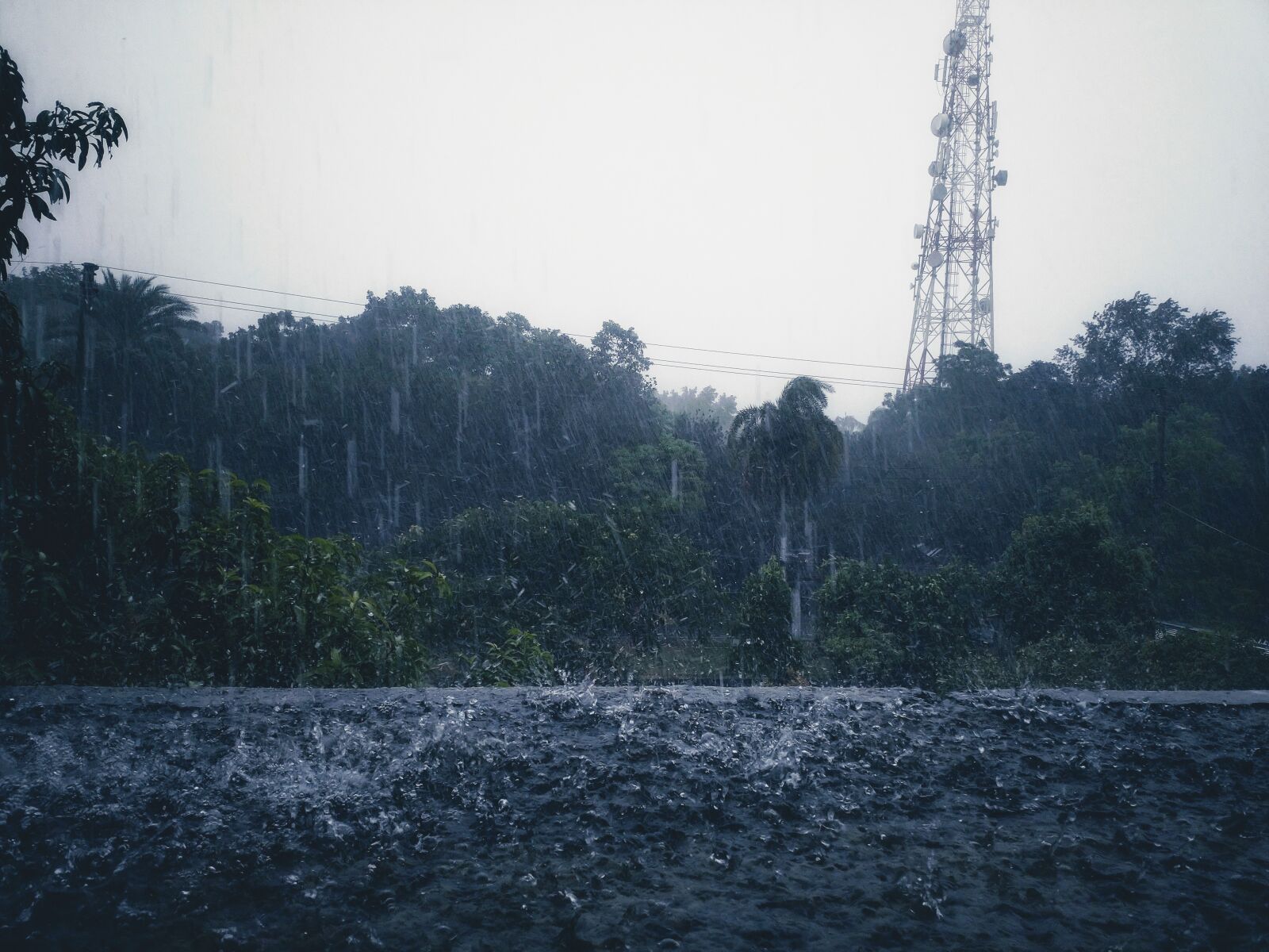 HMD Global Nokia 8 sample photo. Rain, monsoon, nature photography
