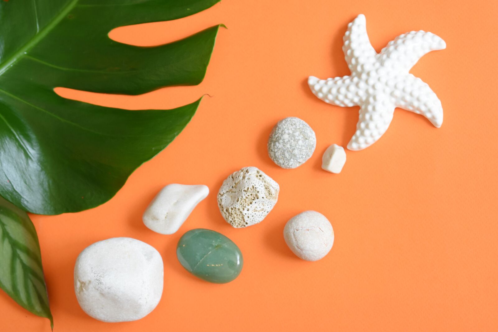 Nikon D3400 sample photo. Starfish, pebbles, stones photography