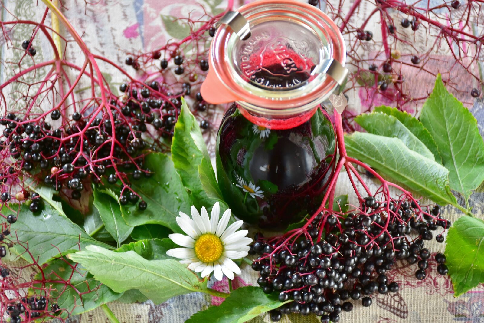 Nikon D7200 sample photo. Elder, elderberries, berries photography