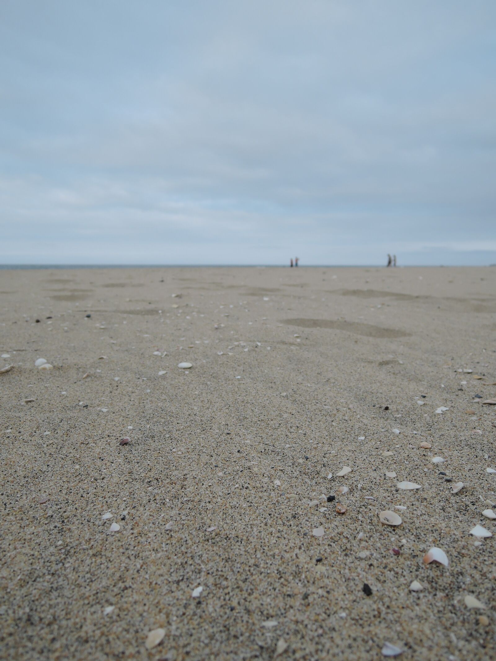 Nikon Coolpix P340 sample photo. Sandy, delusions, bathing beach photography