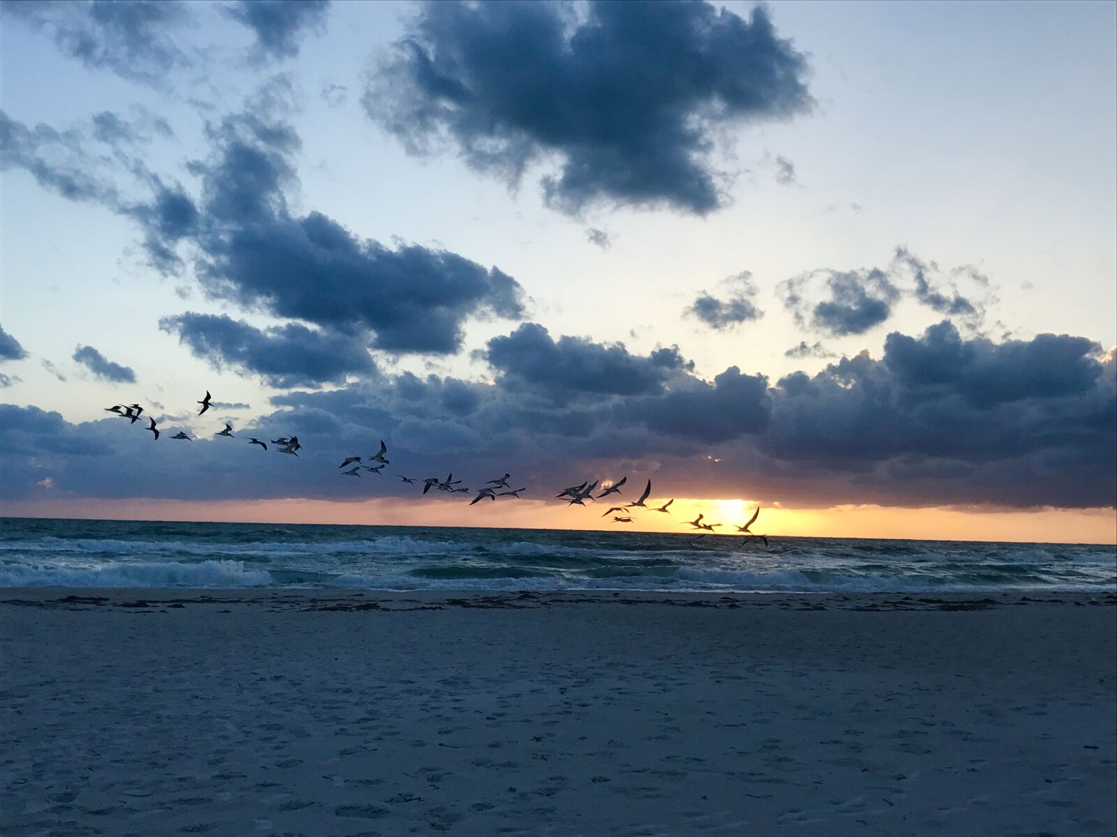 iPhone 7 back camera 3.99mm f/1.8 sample photo. Gulf, water, florida photography