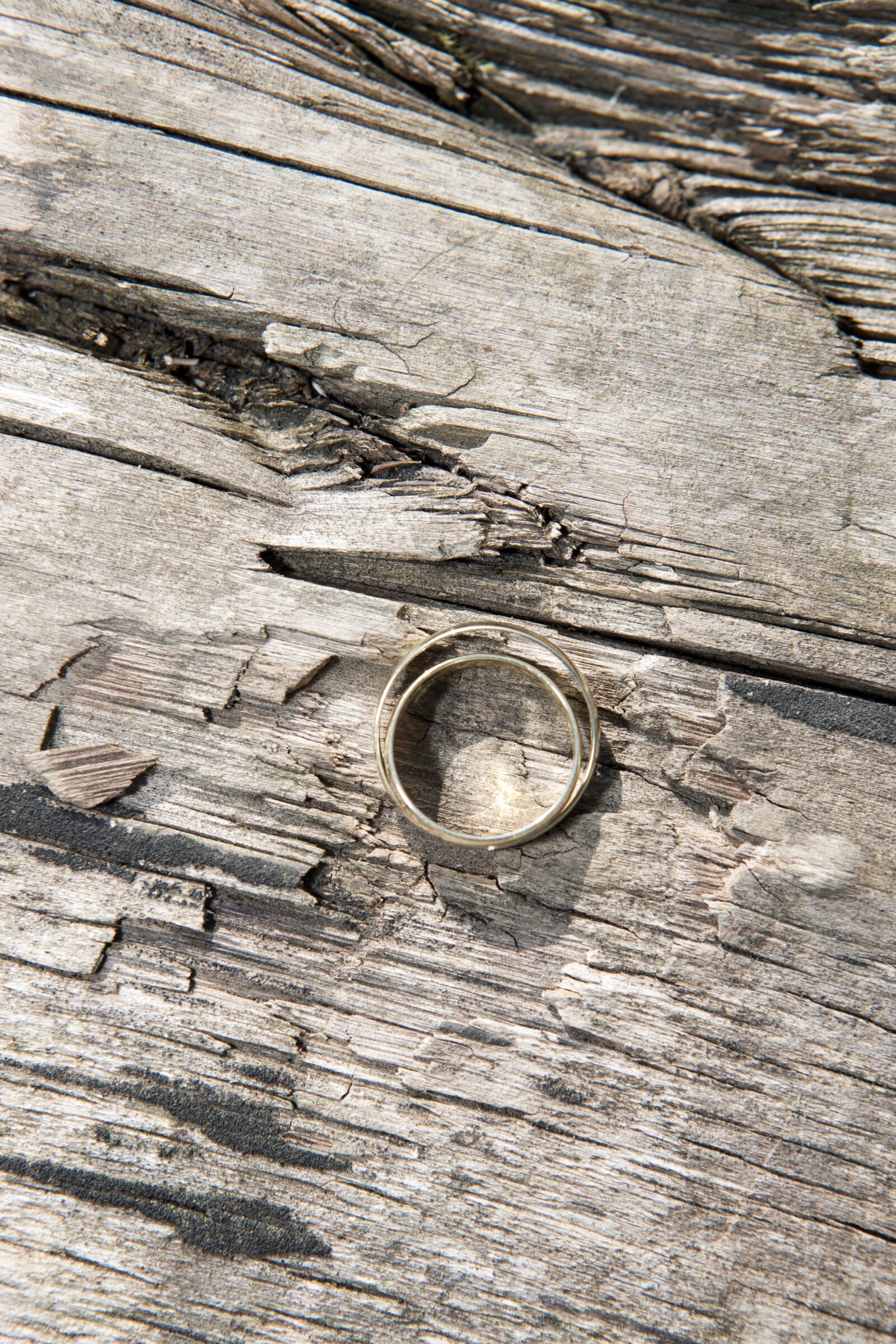 Canon EOS-1Ds Mark III sample photo. Wedding, wedding rings, gold photography
