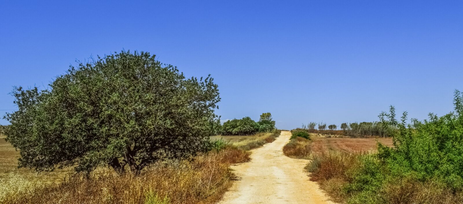Nikon D3300 sample photo. Country road, countryside, road photography
