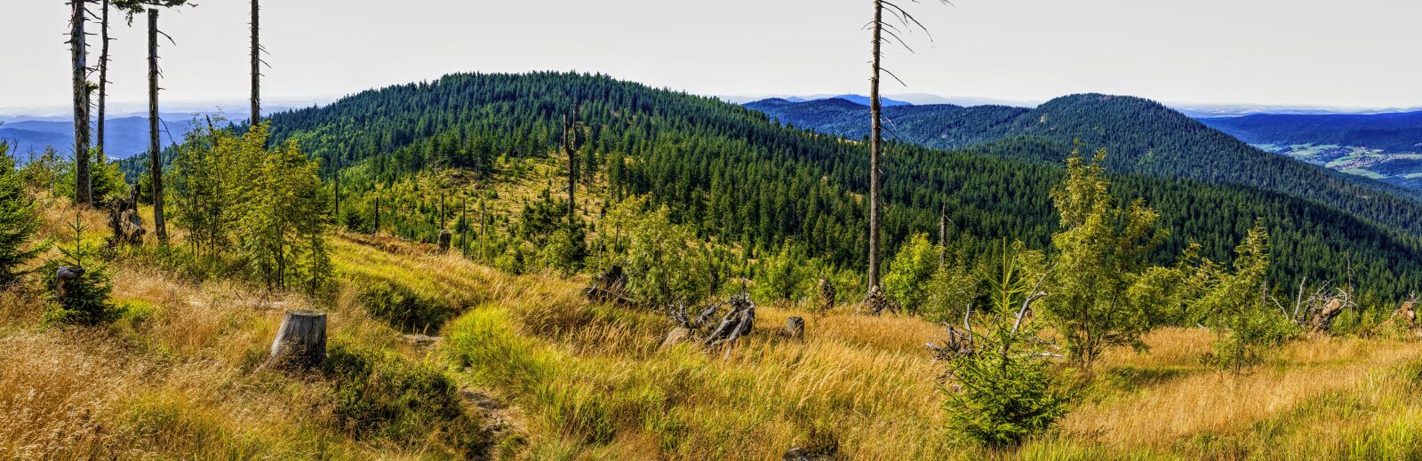 Sony a6300 + Sigma 30mm F2.8 EX DN sample photo. Panorama, bavarian forest, sky photography