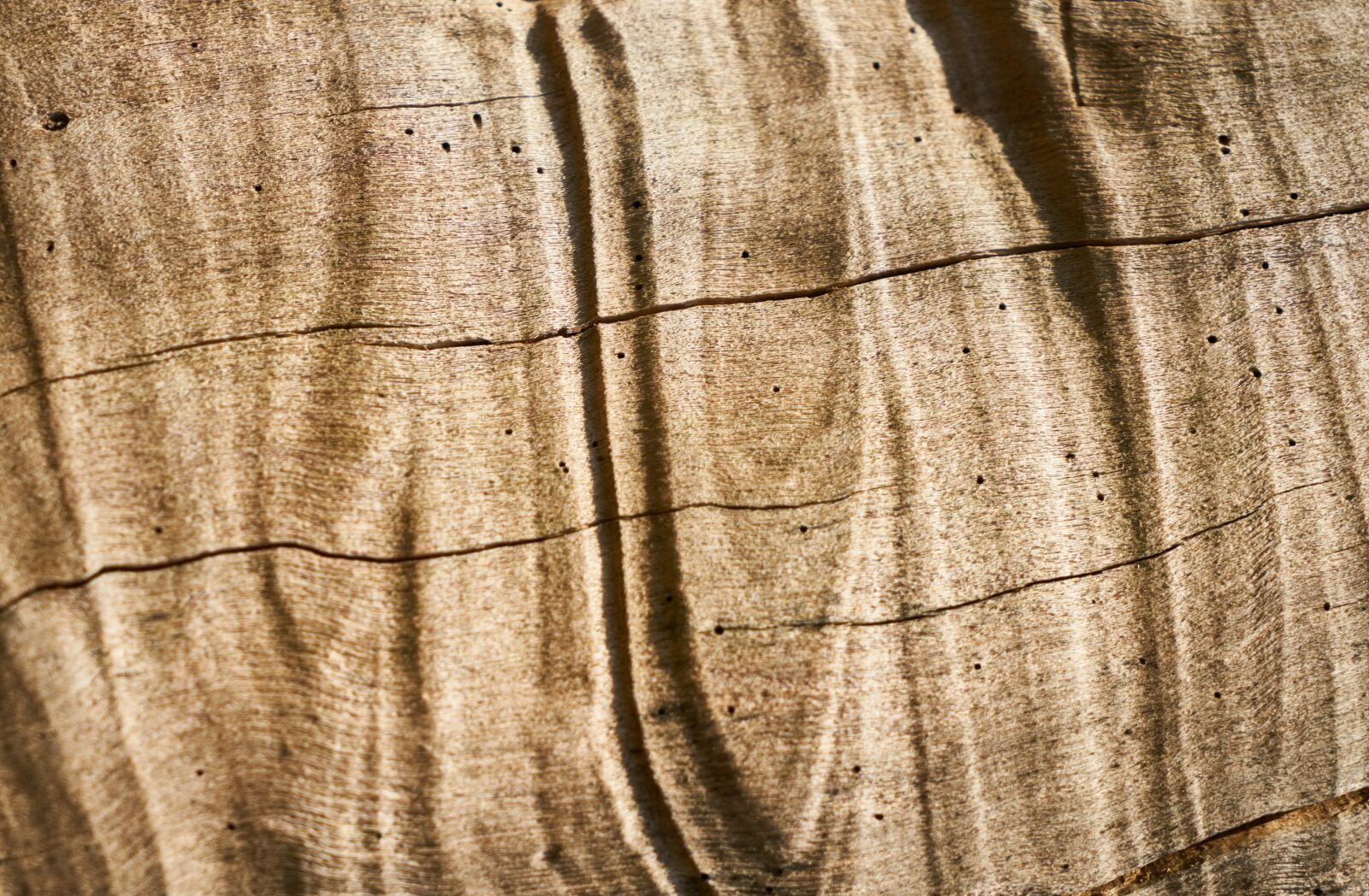 Sony a7R II sample photo. Wood, timber, texture photography
