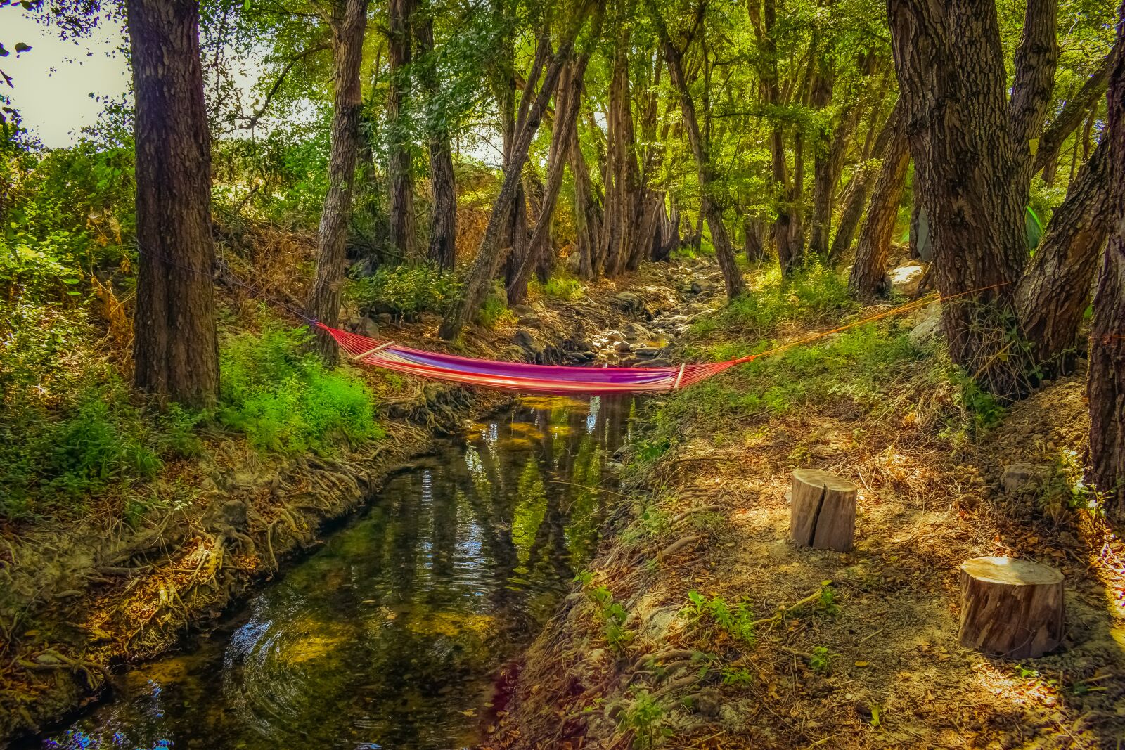 Nikon D3300 sample photo. Hammock, stream, woods photography