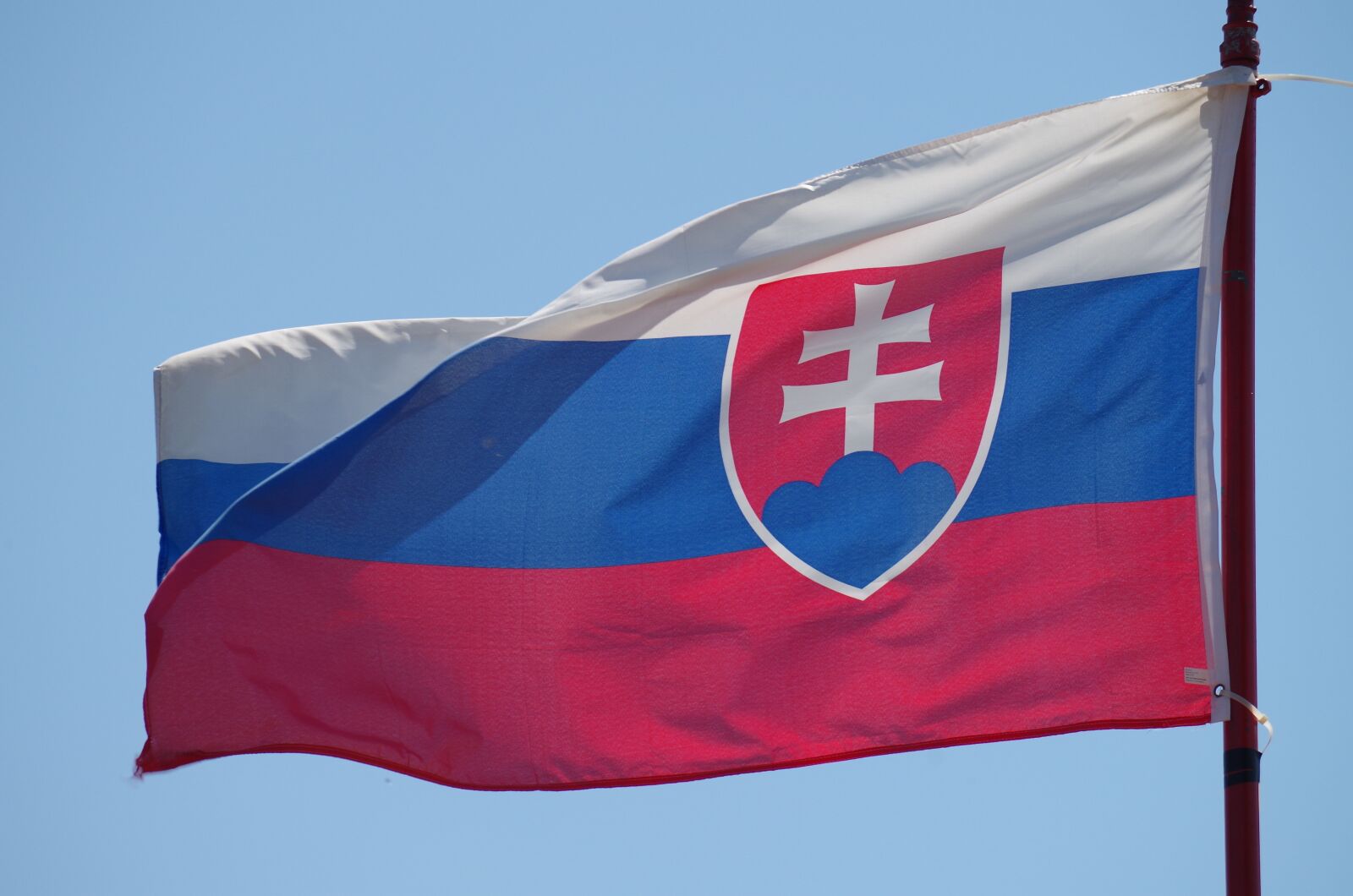 Pentax K-500 sample photo. Slovakia, flag, pledge photography
