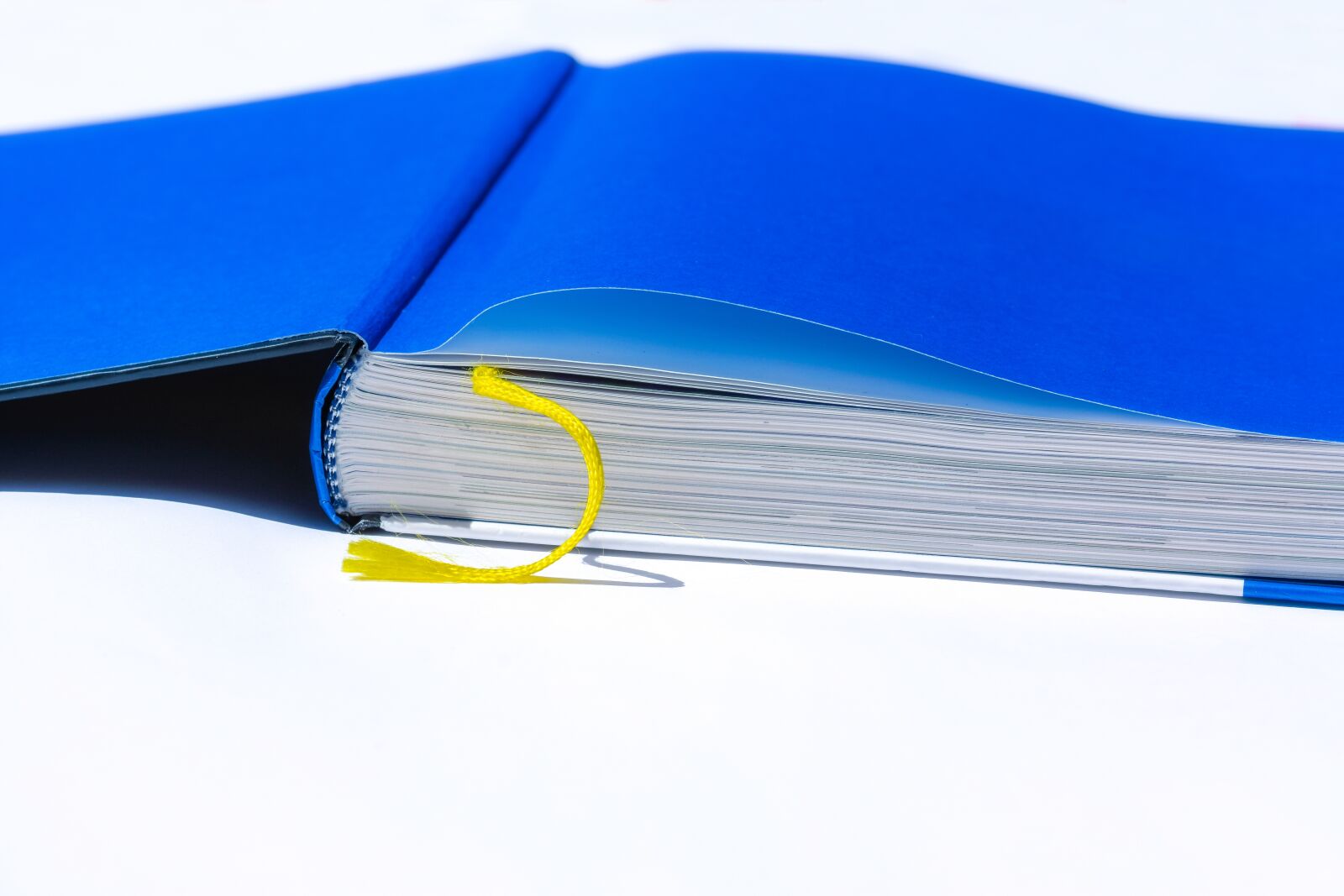 Nikon D7200 sample photo. Book, read, knowledge photography