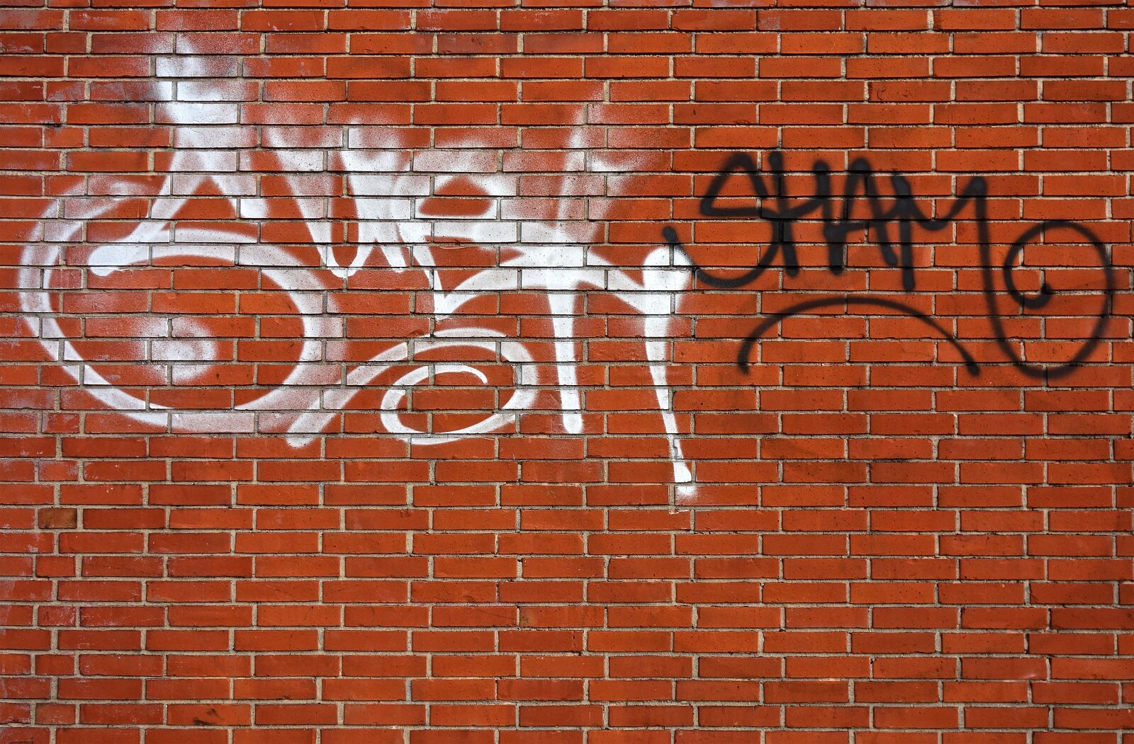 Sony Cyber-shot DSC-RX100 sample photo. Graffiti, letters, spray photography