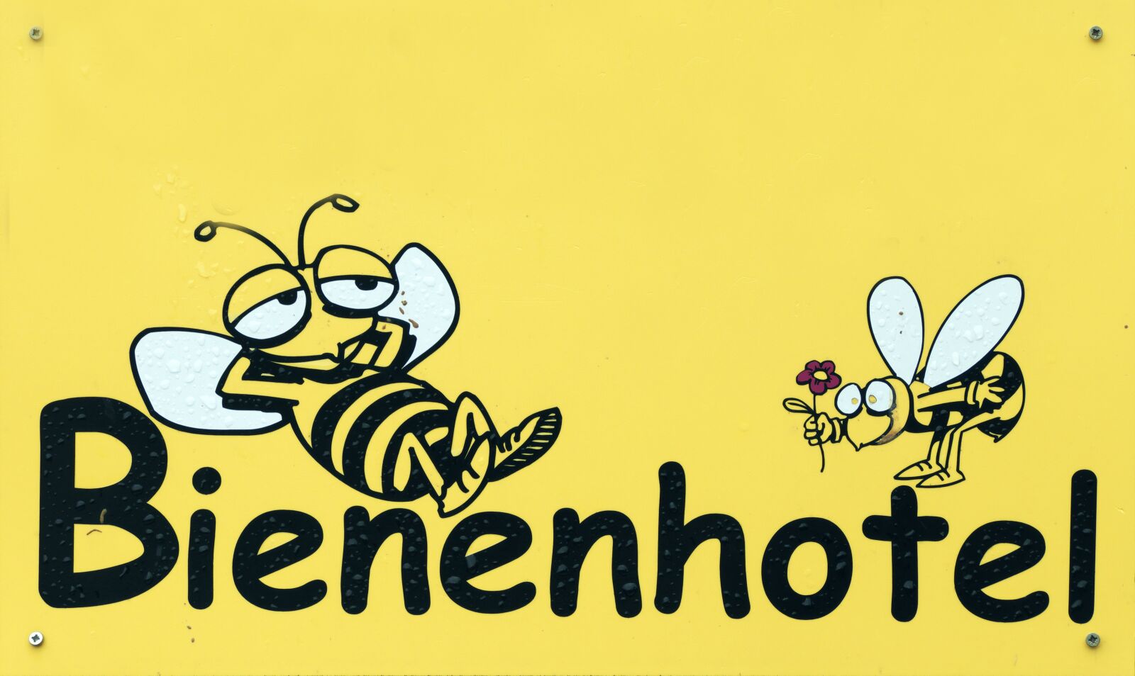 Panasonic Lumix DMC-FZ1000 sample photo. Bees, shield, graphic photography