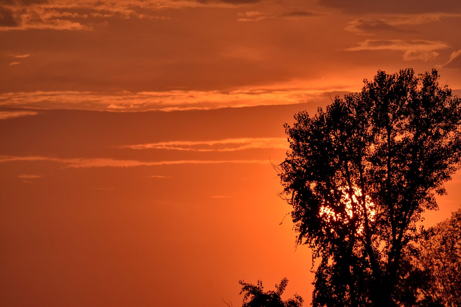 Nikon D5500 sample photo. Silhouette, sun glow, sunrise photography