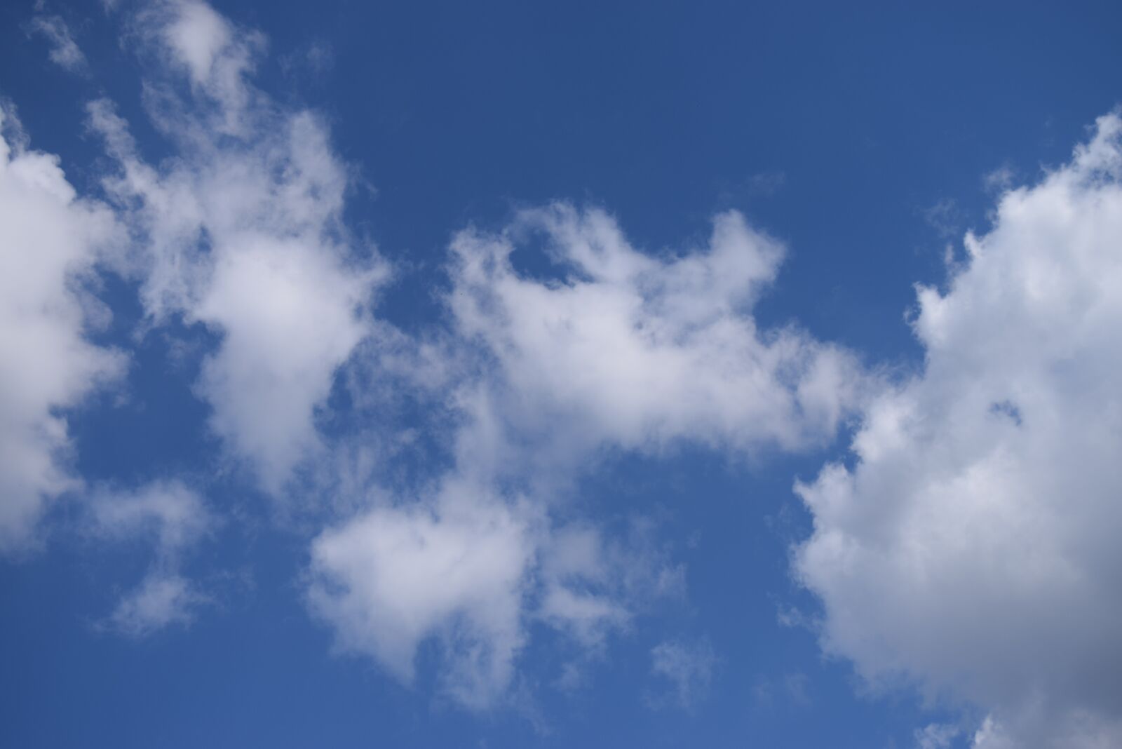 Nikon D5300 sample photo. Sky, cloud, blue sky photography