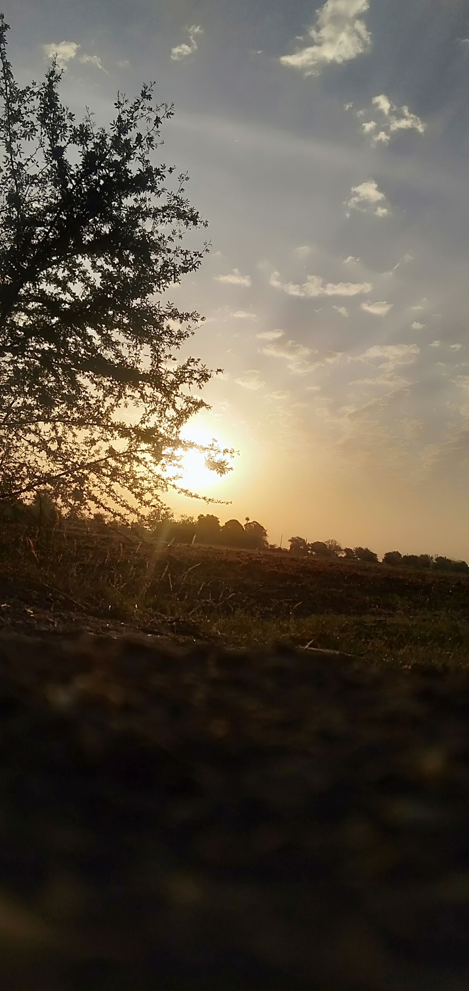 OPPO A5 sample photo. Moment of morning, sunlight photography