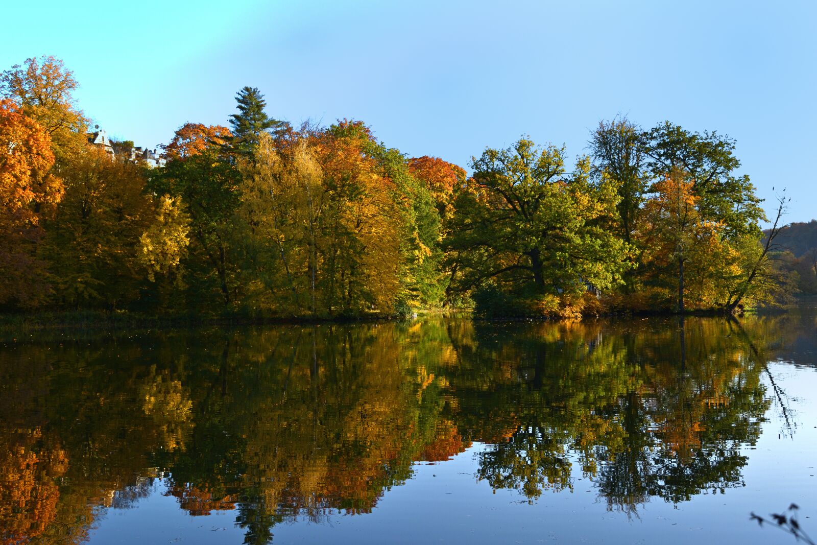 Nikon D5200 sample photo. Autumn, park lake, sch photography