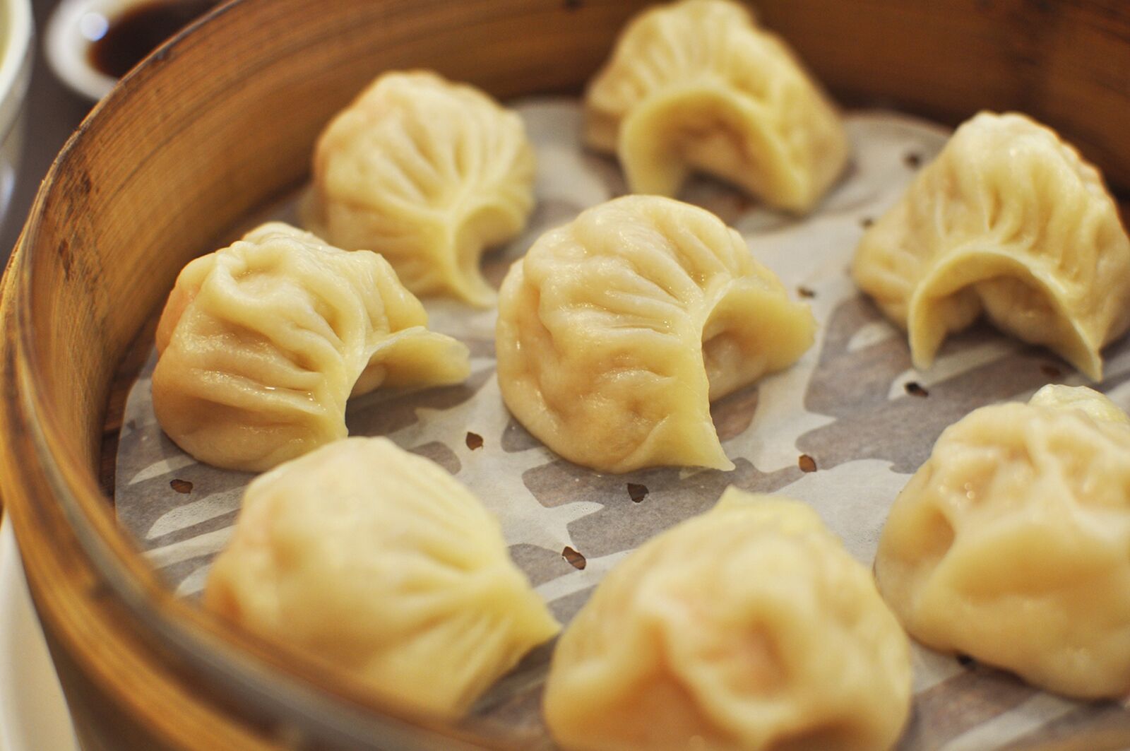 Nikon D5000 sample photo. Dumplings, taiwan, delicious photography