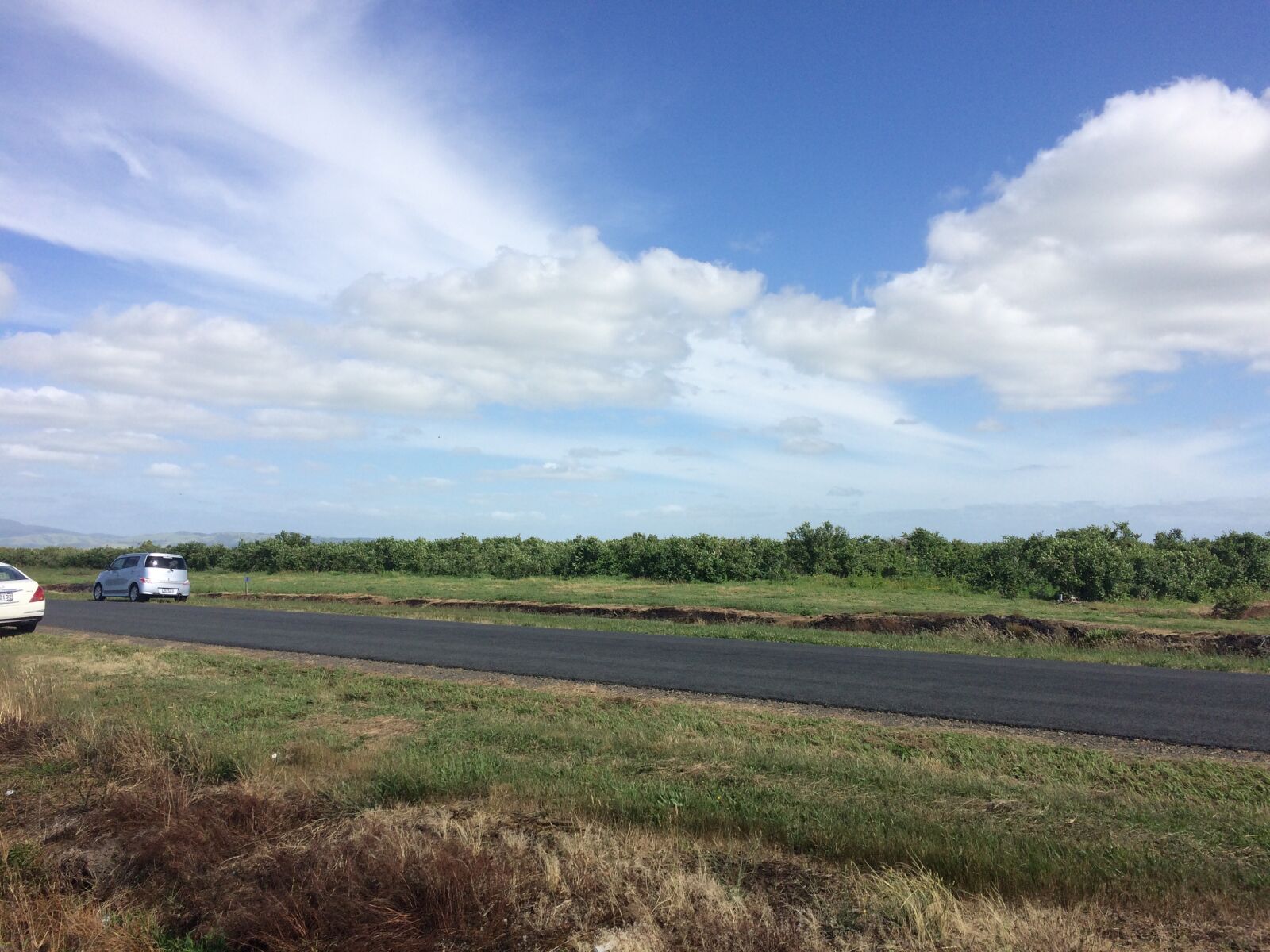 iPhone 5s back camera 4.15mm f/2.2 sample photo. New zealand, hamilton, blueberry photography