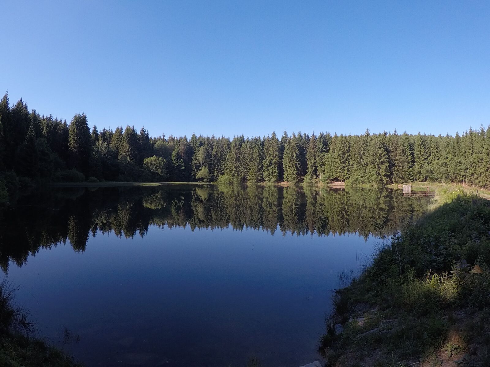 GoPro Hero5 Black sample photo. Water, nature, forest photography