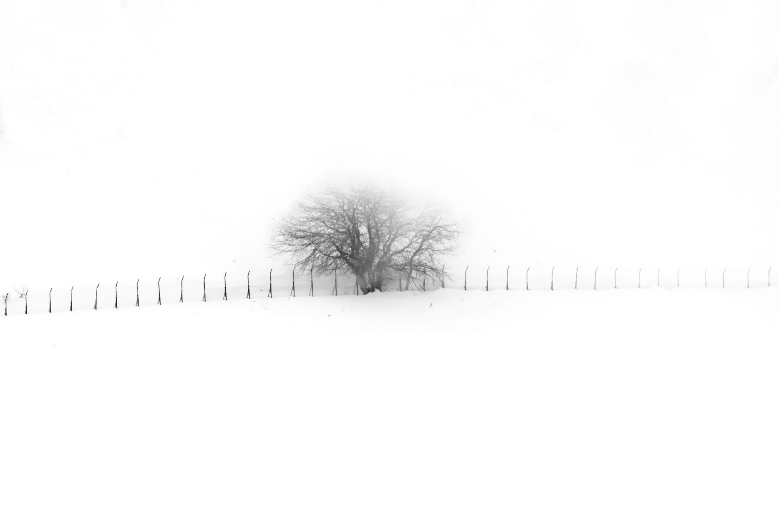 Nikon D7200 sample photo. Snow, winter, trees photography