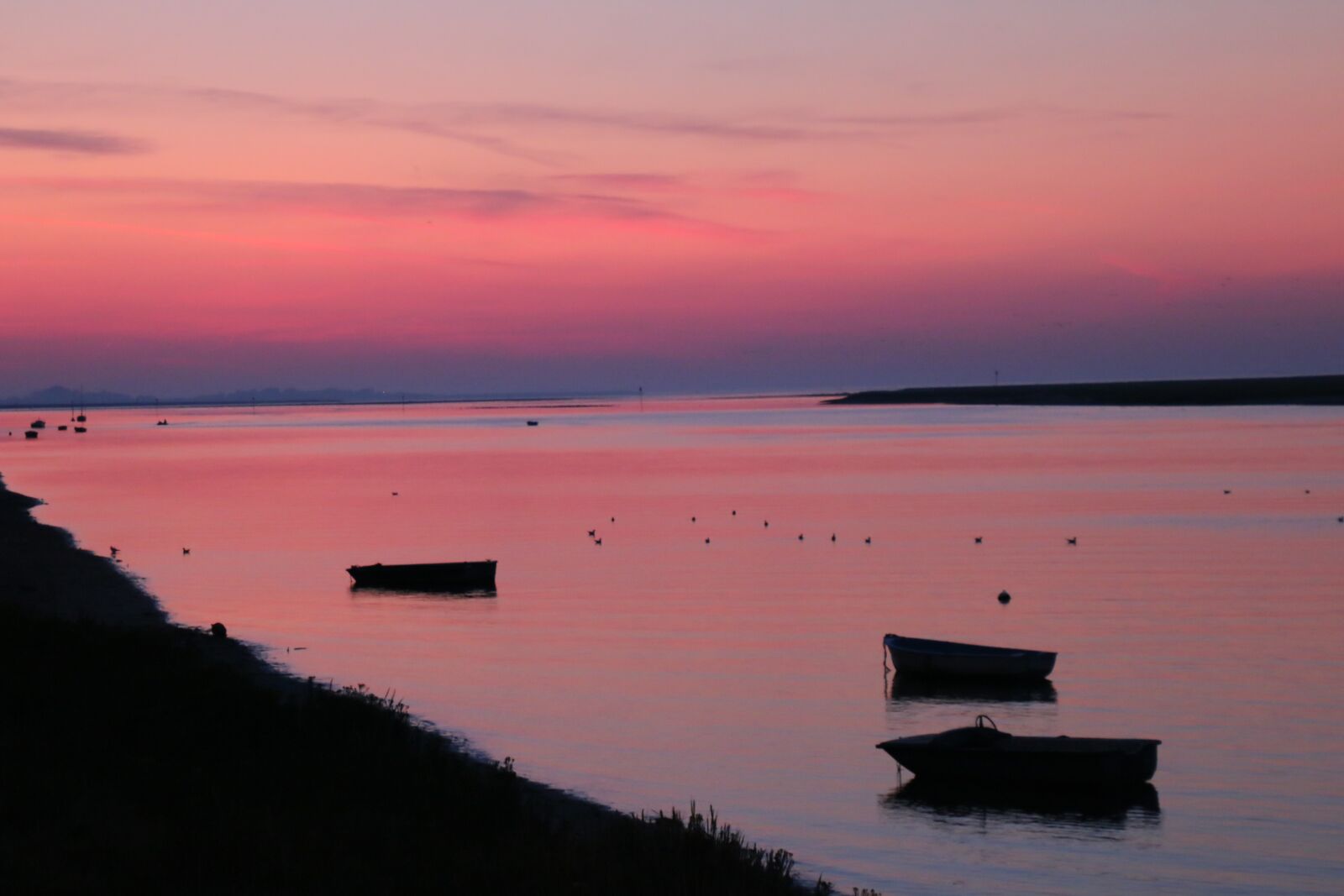 Canon EOS 70D sample photo. Bed-of-sun, pink, sea photography