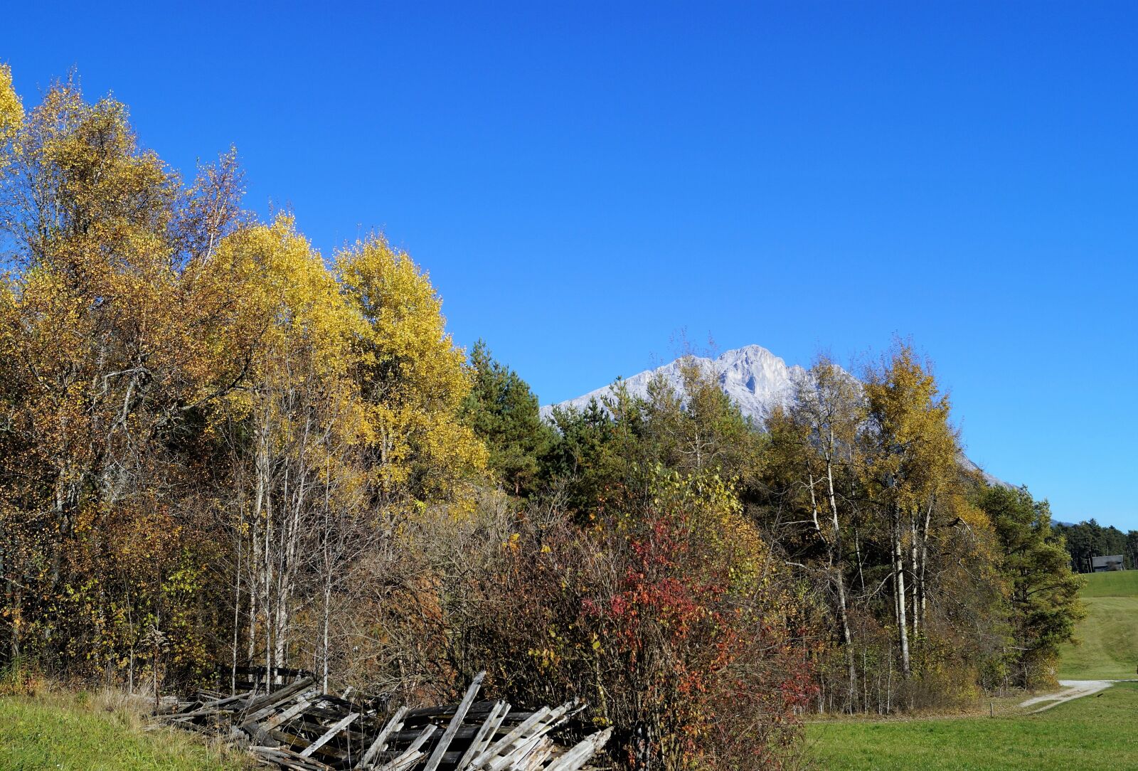 Sony DT 18-55mm F3.5-5.6 SAM II sample photo. Autumn, blue sky, tree photography