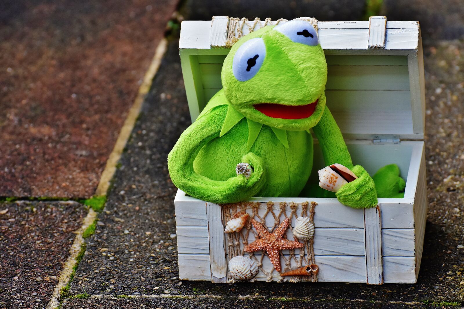 Nikon D7200 sample photo. Kermit, frog, chest photography