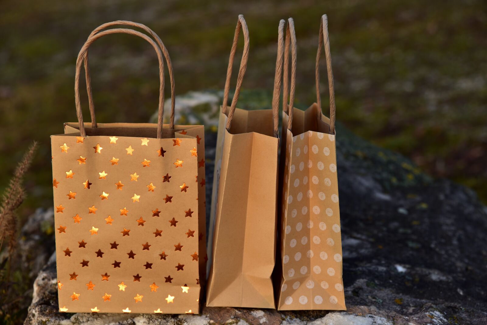 Nikon D750 sample photo. Bag, paper bag, purchasing photography