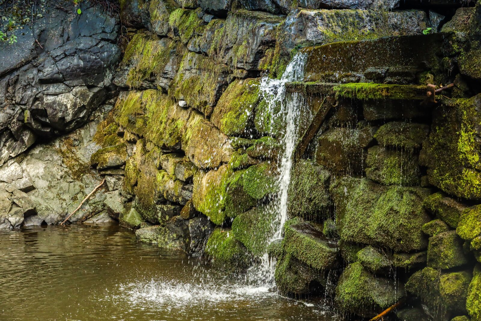 Canon EOS R sample photo. River, water, bridge photography