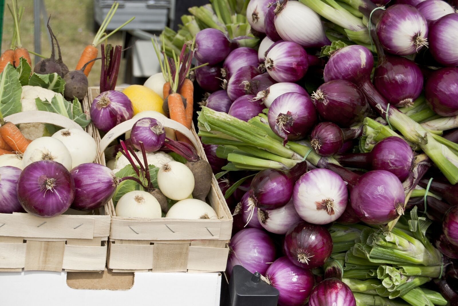 Nikon D40X sample photo. Fresh vegetables, onion, red photography