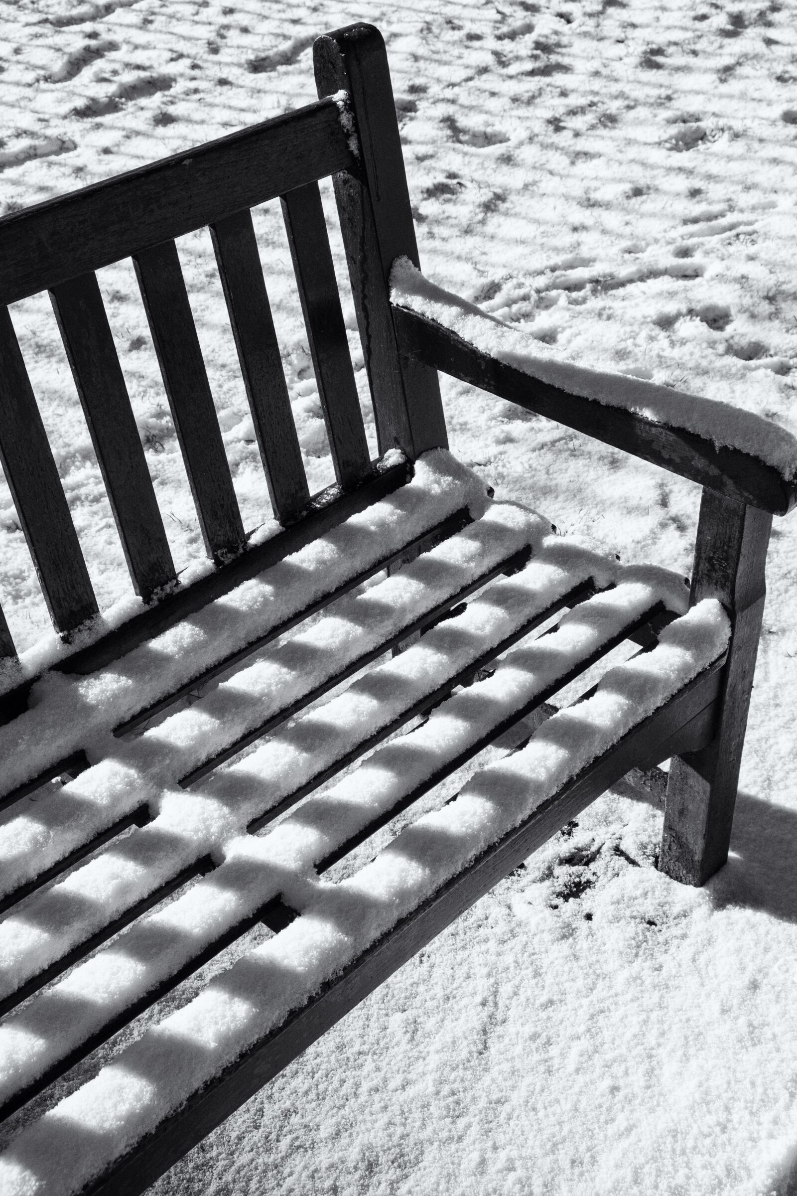 Fujifilm X-T1 sample photo. Outdoors, holland, park photography