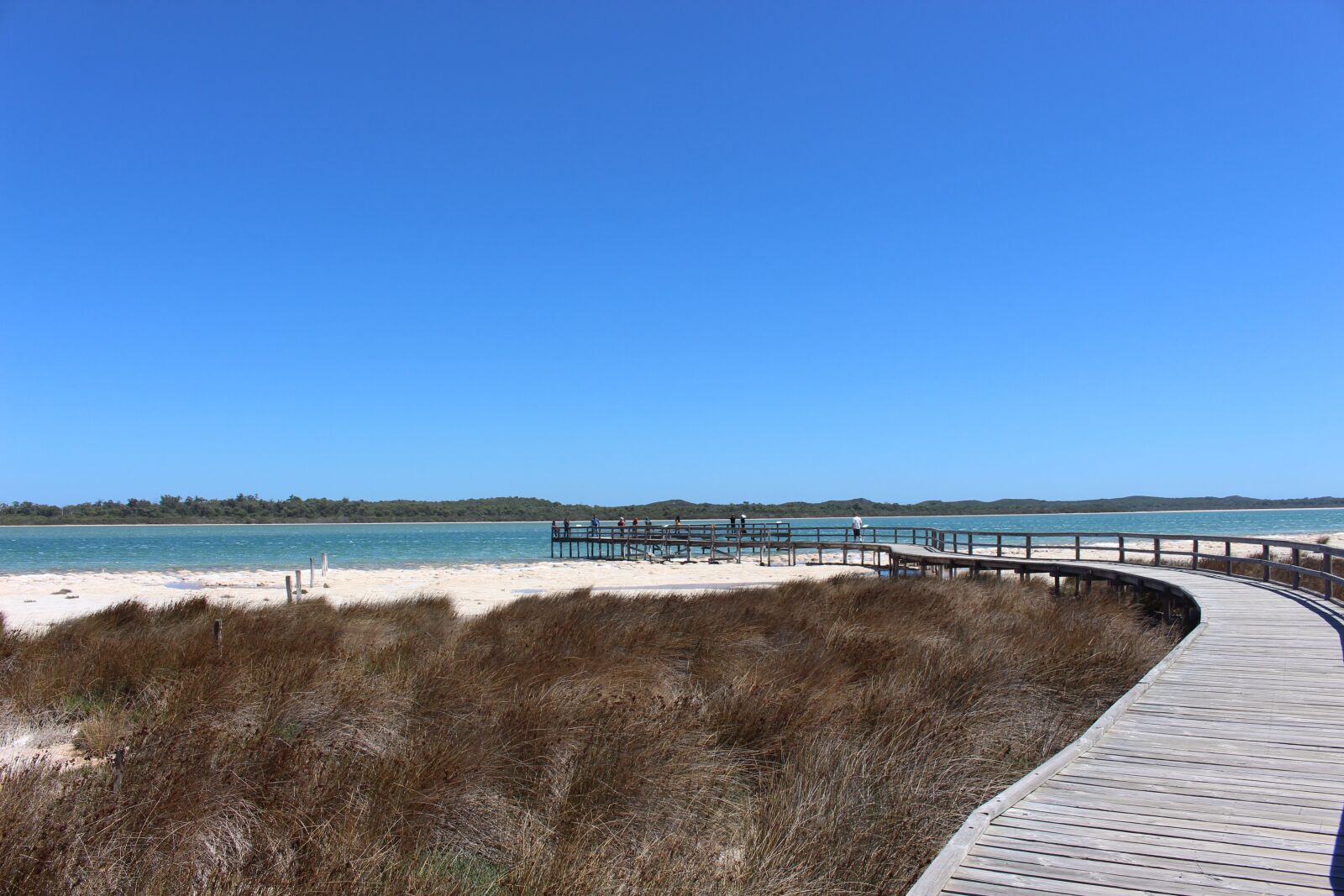 Canon EOS 700D (EOS Rebel T5i / EOS Kiss X7i) sample photo. Lake clifton, thrombolites, standing photography