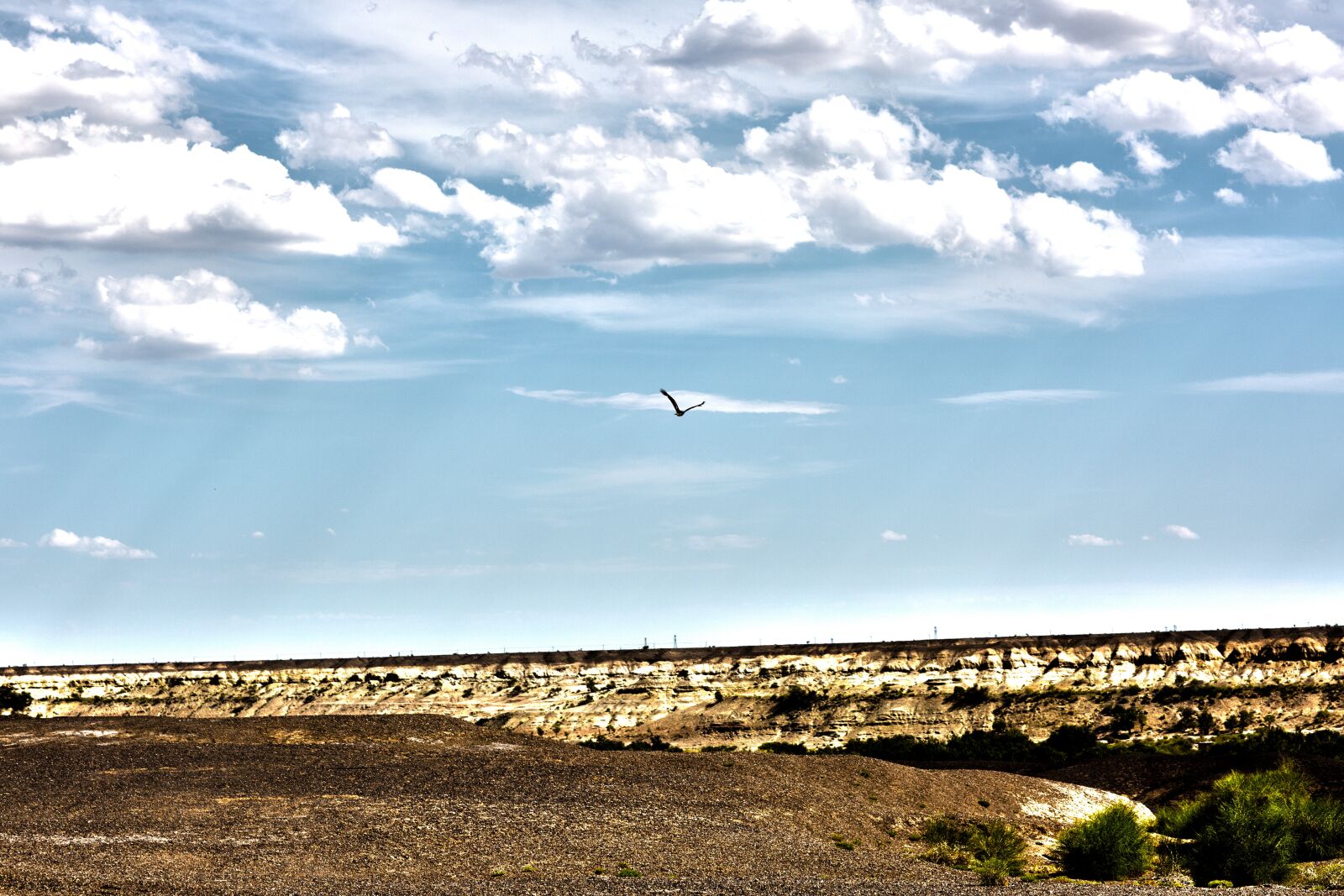 Canon EF 85mm F1.2L II USM sample photo. Sky, cloud, eagle photography