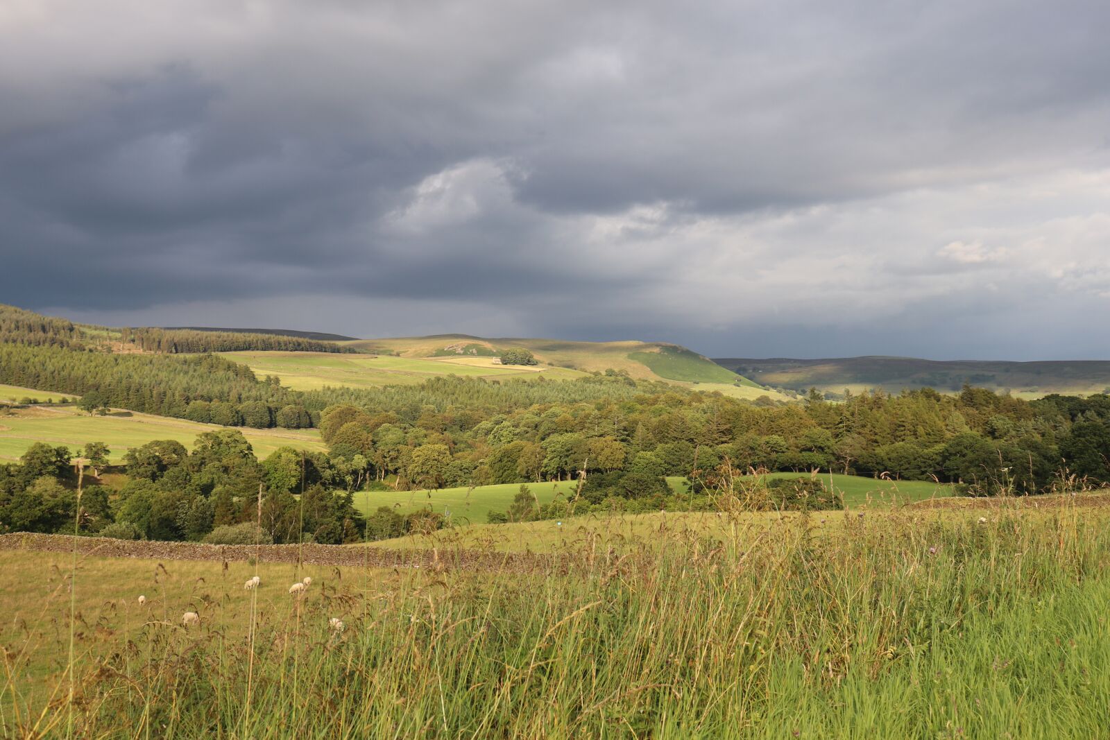 Canon EOS 77D (EOS 9000D / EOS 770D) sample photo. Yorkshire, landscape, the north photography