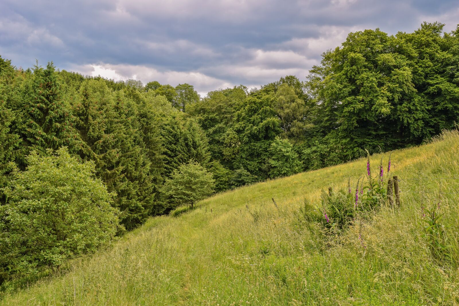 Nikon D3300 sample photo. Landscape, nature, clouds photography
