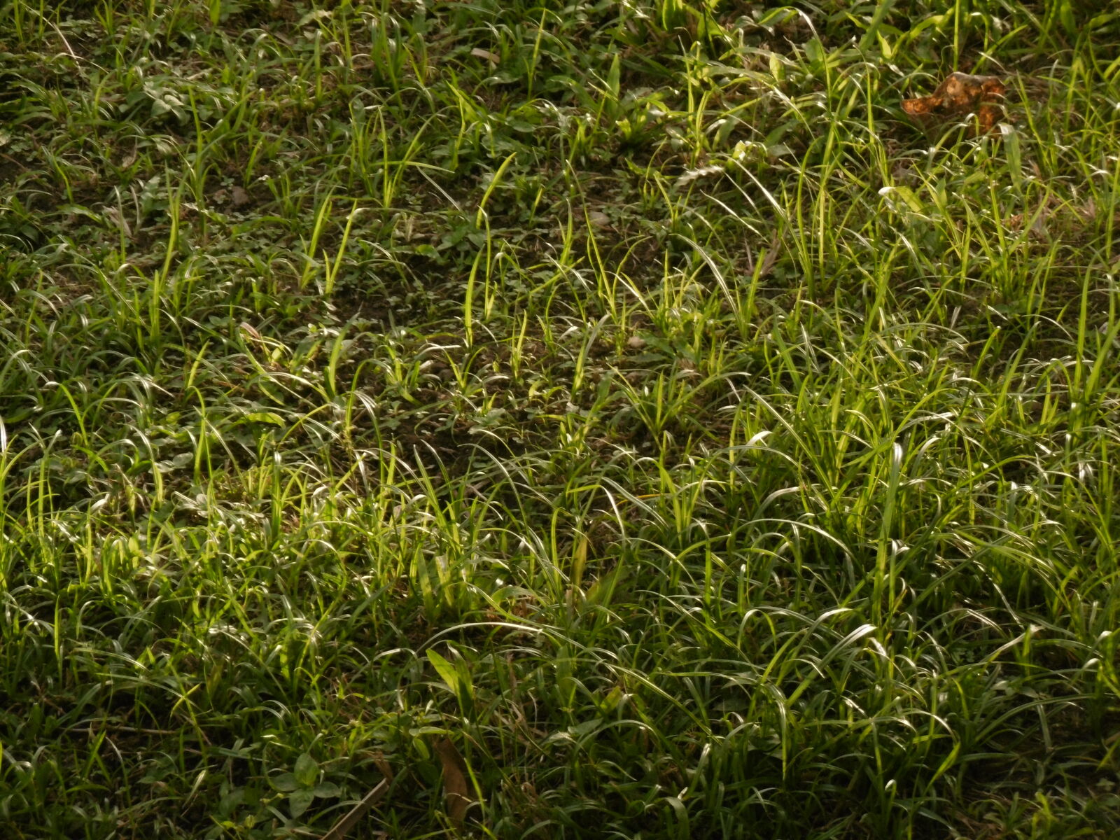 Panasonic DMC-SZ10 sample photo