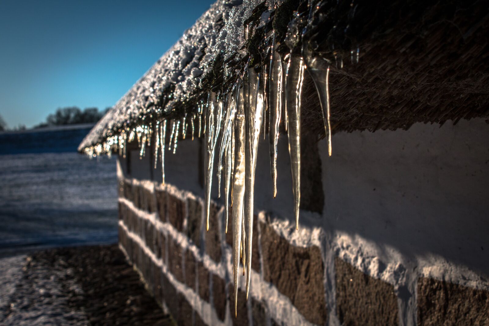 Canon EOS 70D + Canon EF-S 18-55mm F3.5-5.6 III sample photo. Icicles, winter, snow photography