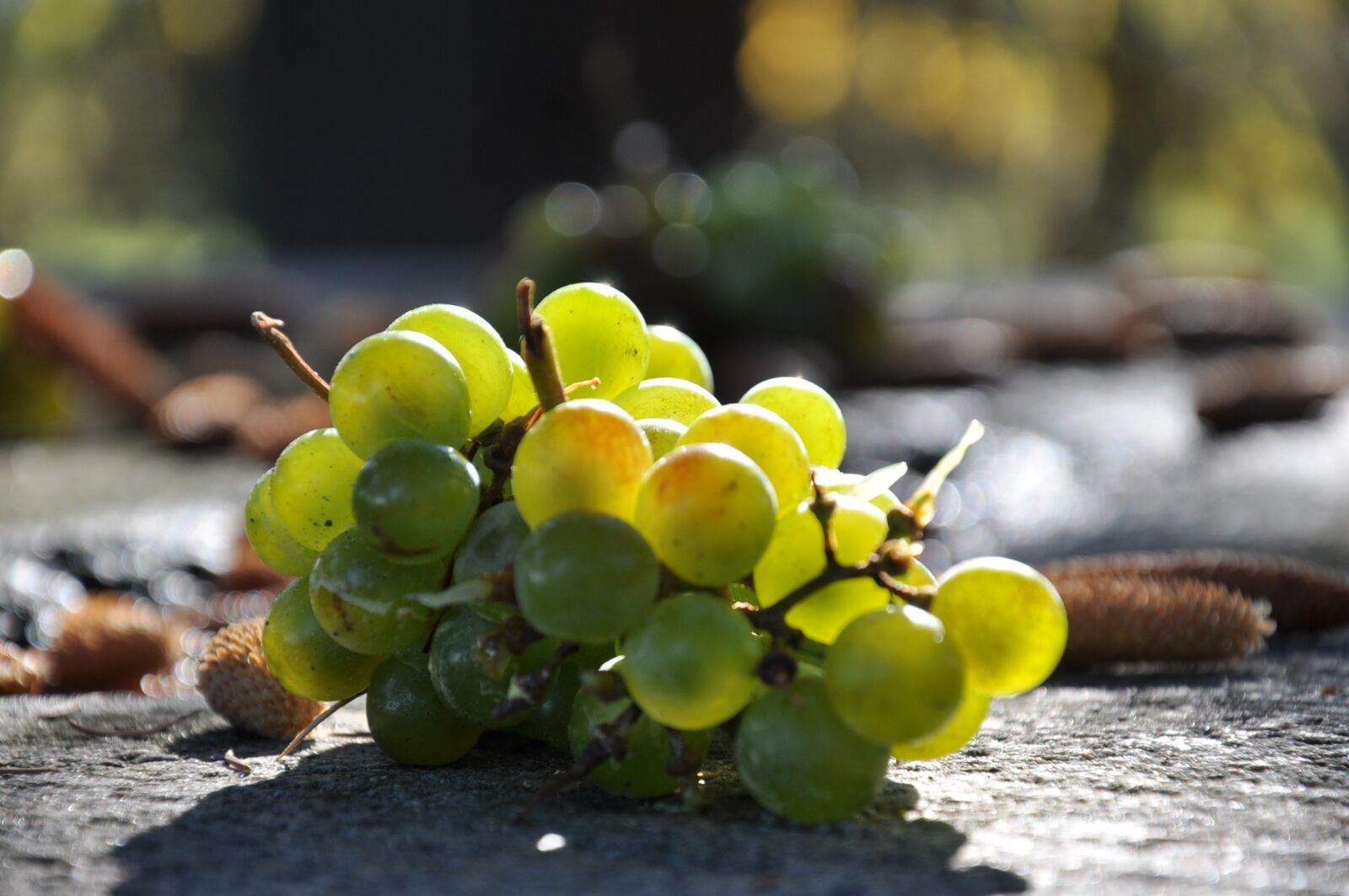 Nikon D90 sample photo. Grape, autumn, table photography