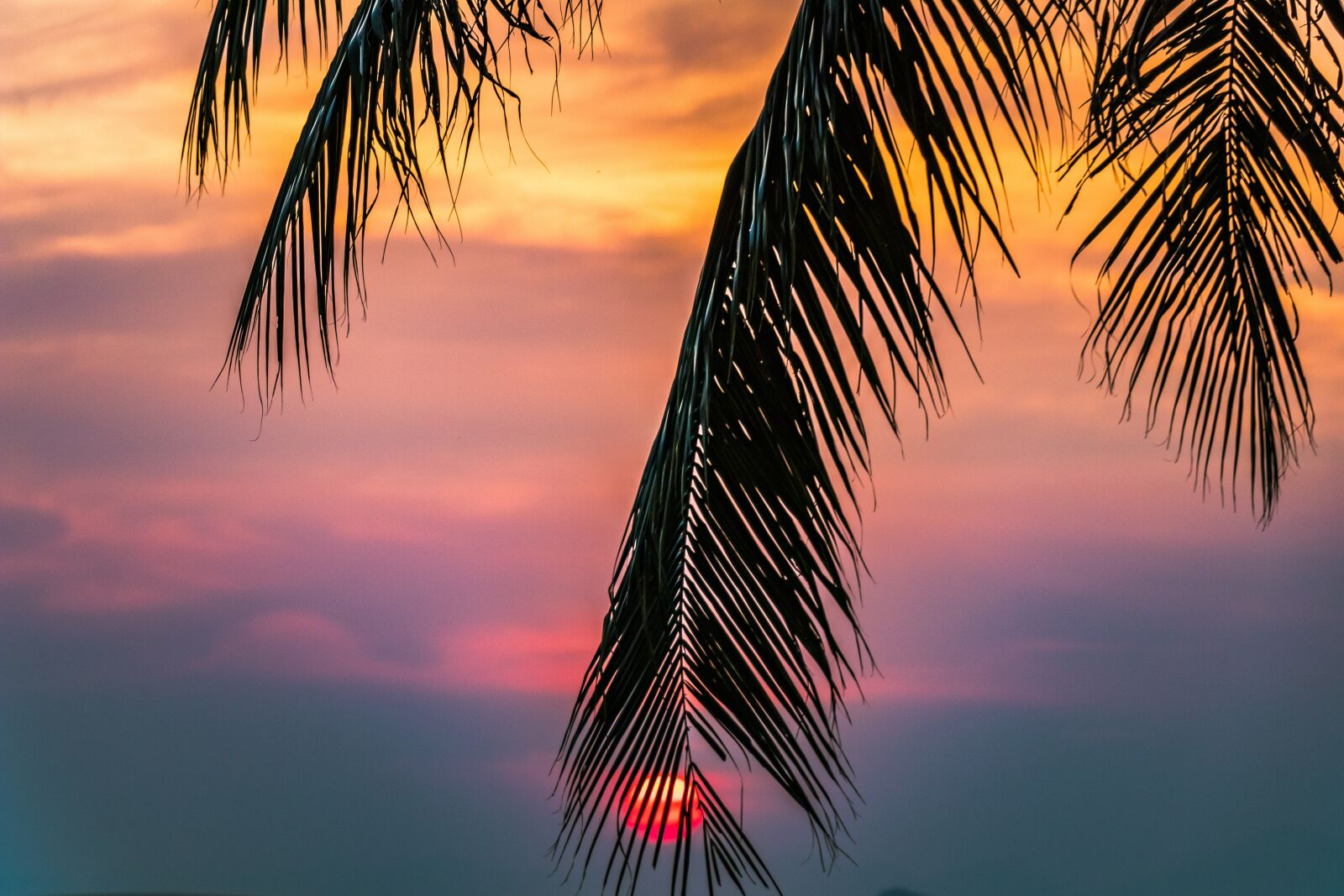 Canon EF-S 18-135mm F3.5-5.6 IS USM sample photo. Sunset, beach, the tropical photography