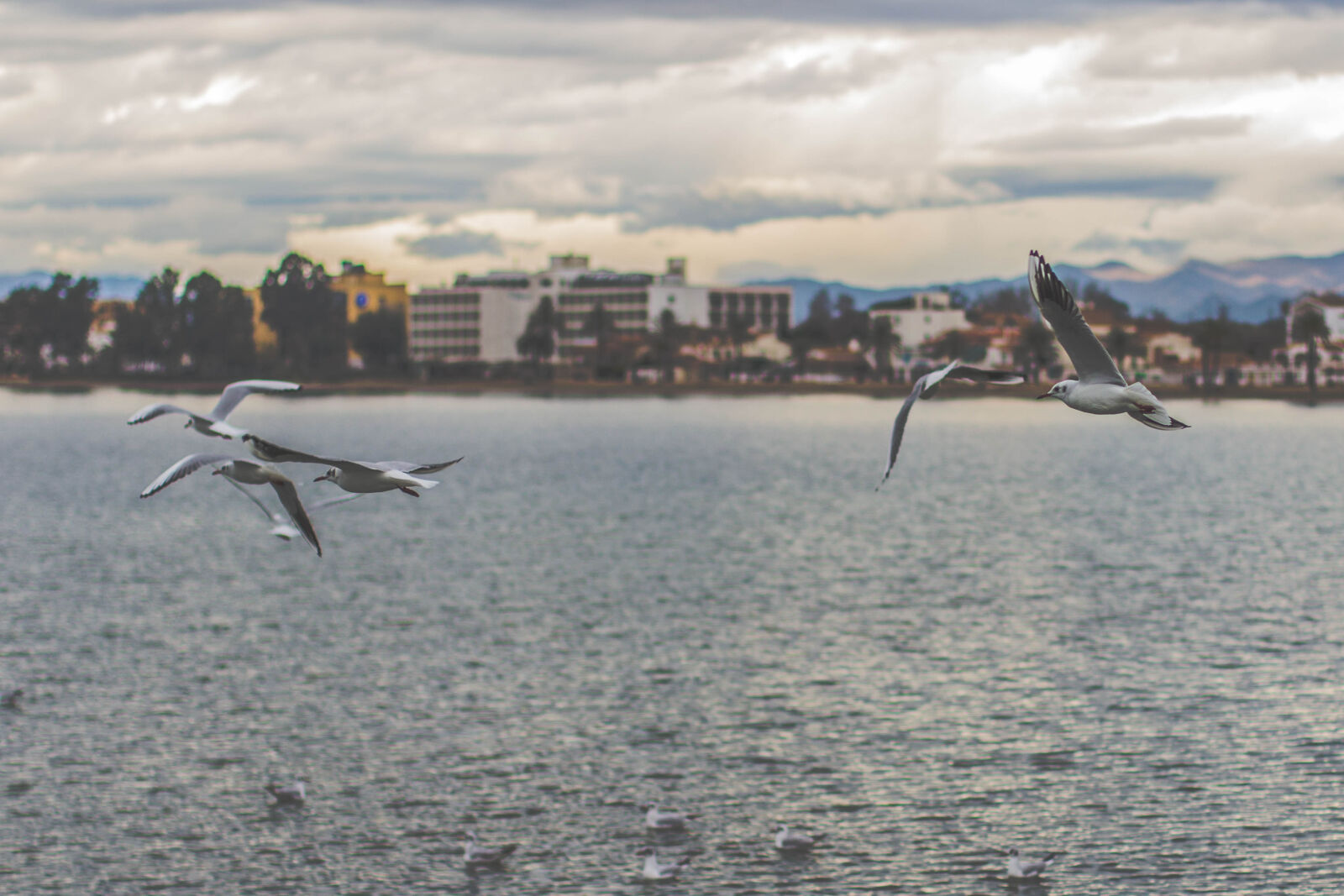 Canon EOS 600D (Rebel EOS T3i / EOS Kiss X5) + Canon EF 50mm F1.4 USM sample photo. Sea, landscape, sky, sunset photography