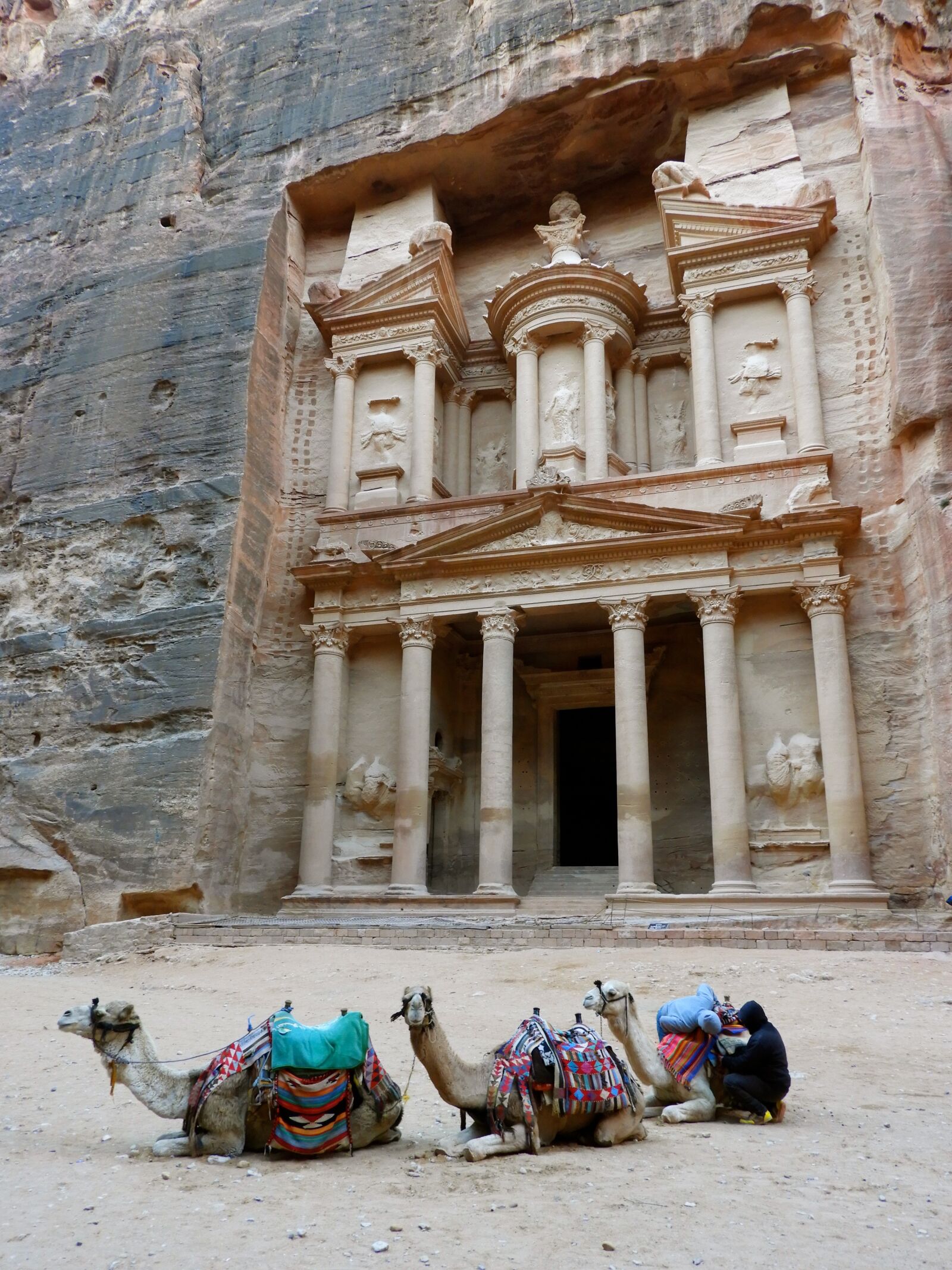 Nikon Coolpix B700 sample photo. Petra, jordan, camel photography